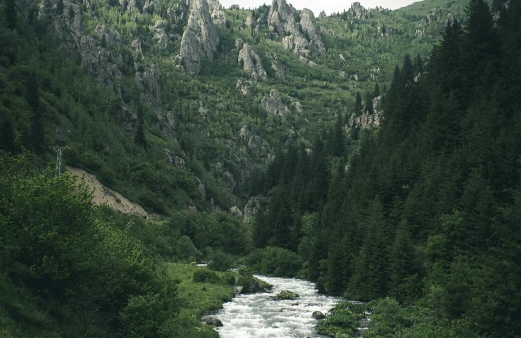 EVIDENCE OF SPIRITUAL GROWTH 3