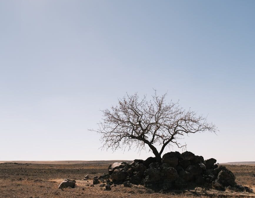 Overcoming Barrenness 4