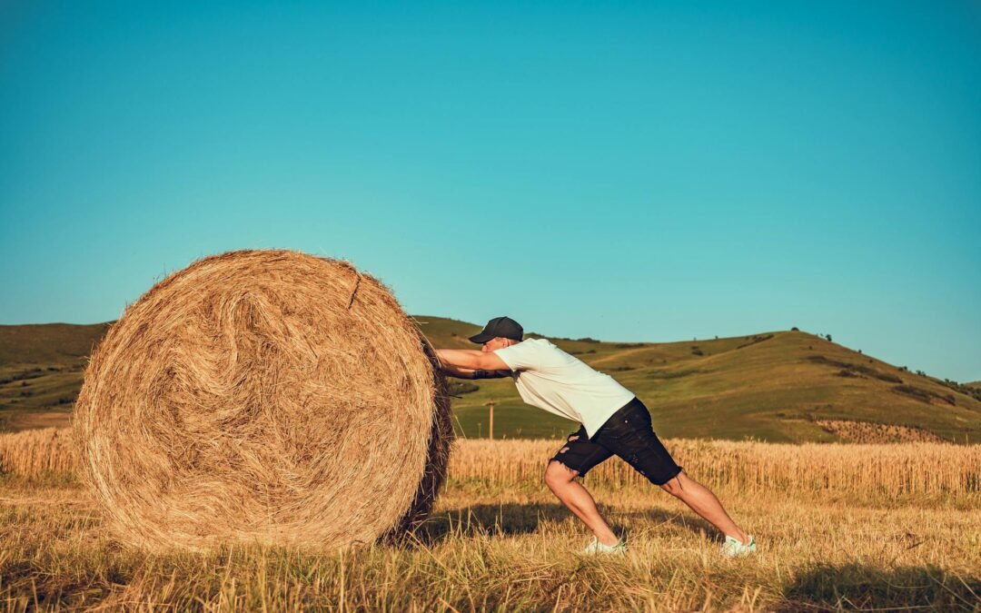 Never Relent on Your Efforts!