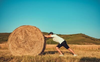 Never Relent on Your Efforts!