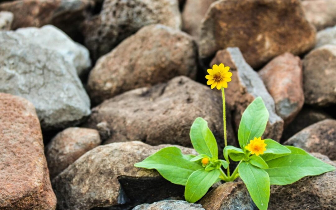 Investing In Your Spiritual Growth 4