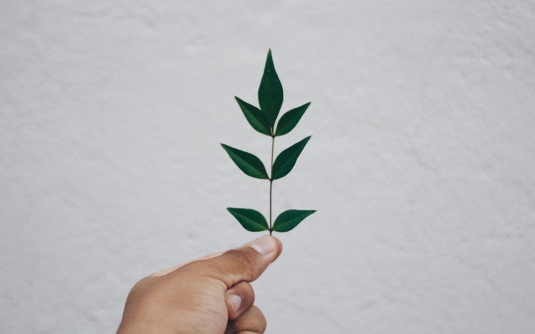 Investing In Your Spiritual Growth 6