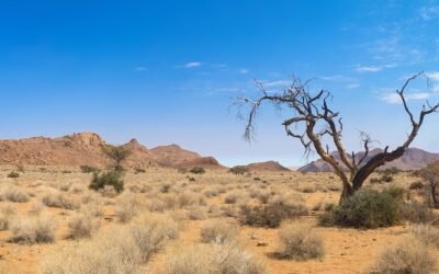 Overcoming Barrenness 1