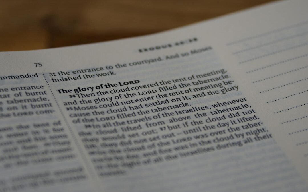 extreme close up shot of a bible text