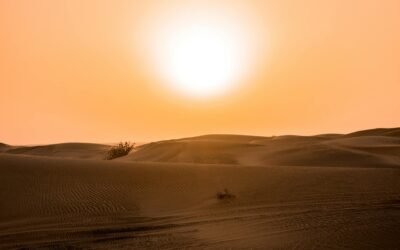 Overcoming Barrenness 4