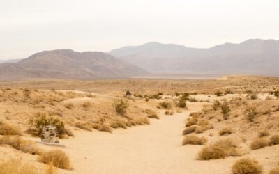 Overcoming Stagnation 3