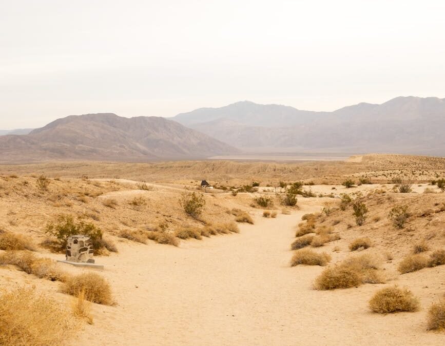 a pathway in the desert