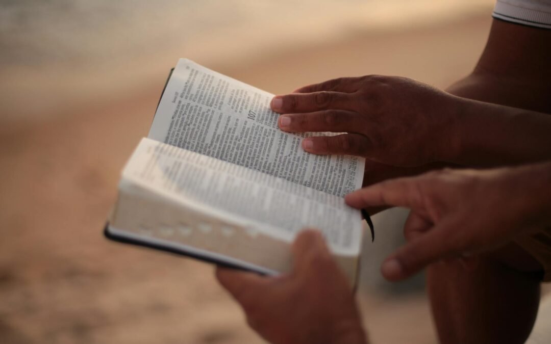 people reading and studying the bible
