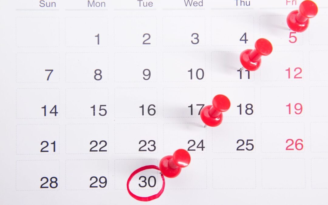close up photo of red pins on a calendar