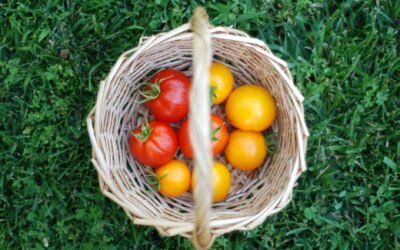 How to Be a Fruitful Believer 5