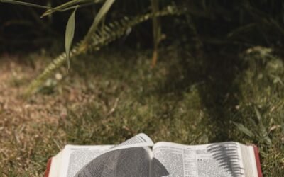 How to Operate in the Wisdom of God 1