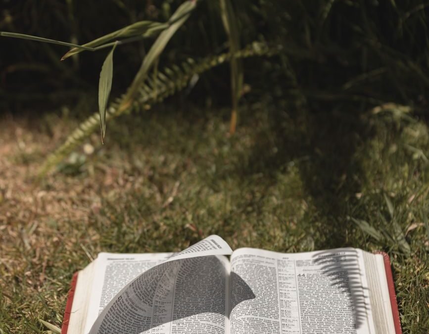open bible on grass