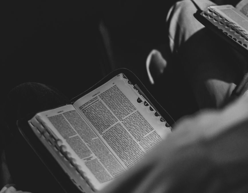monochrome image of open bible being read