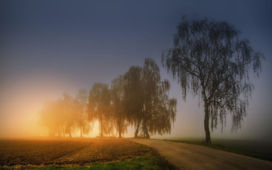 view of a road at sunrise