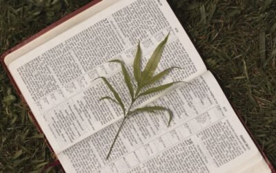 THE BENEFITS OF THE ANOINTING 3