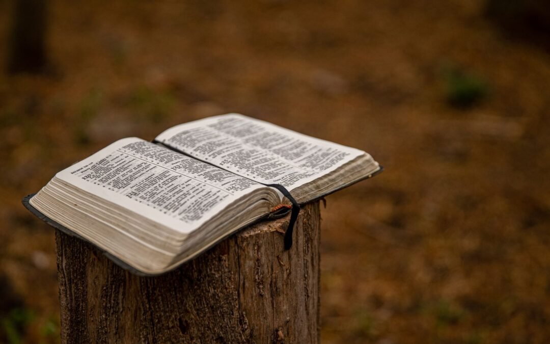 an open bible on a stump